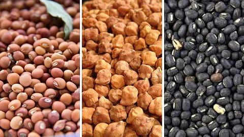Tur, Chana and Urad