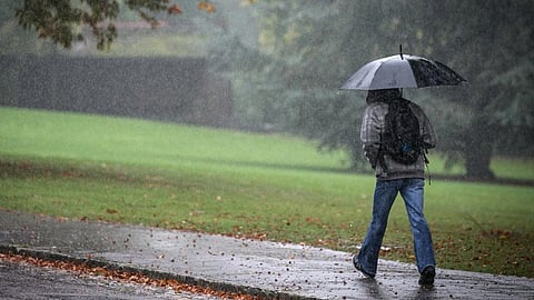 Rain Update