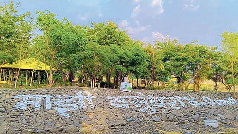 Environmental Conservation