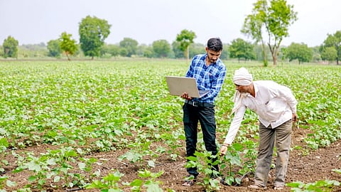 Agriculture