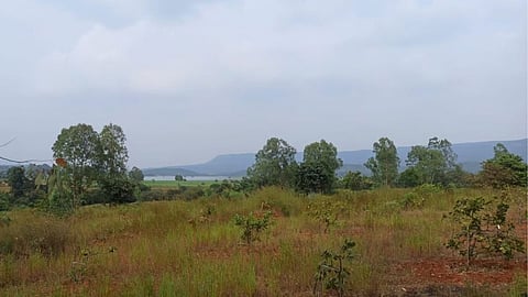 Land Cases Class 2