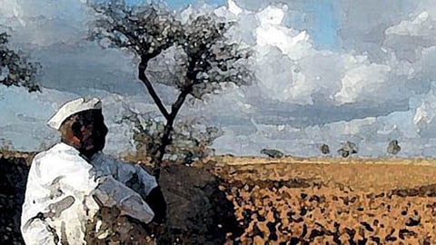 Farmer