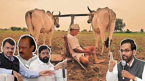 Loan Waiver