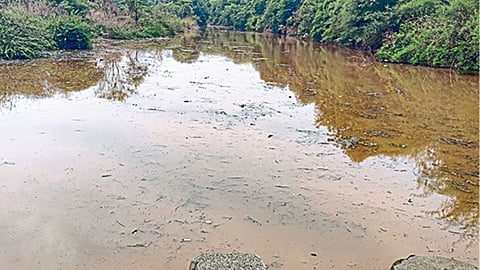 Shivganga River