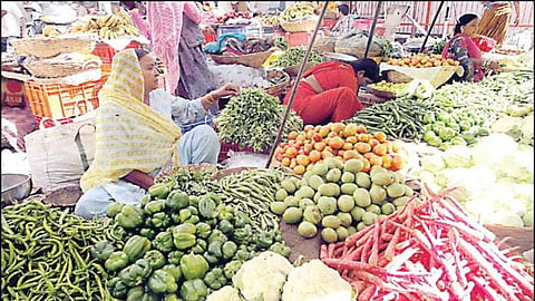 Fruit Market Rate