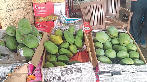 Mango Market