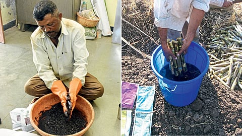 Biofertilizers