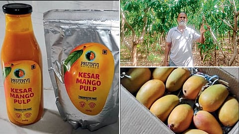 Bhaskar Gaikwad and his Natural Farming