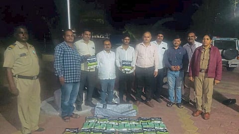 Seed