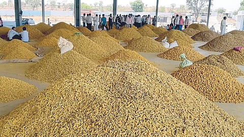 Turmeric