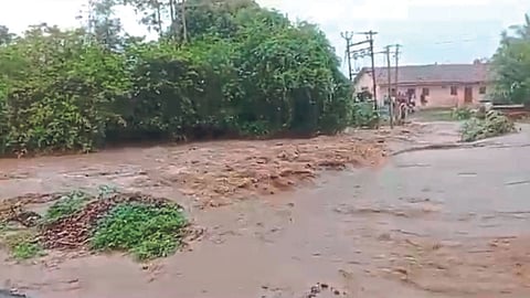 Rain Update
