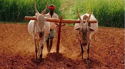 Lok Sabha Election 2024