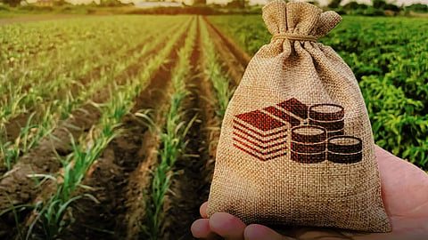 Crop Loan