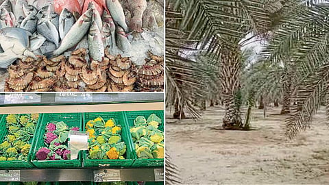 Dubai Agriculture
