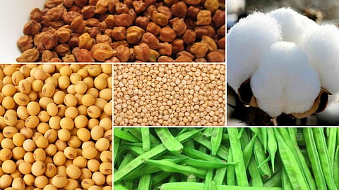 Agriculture Market