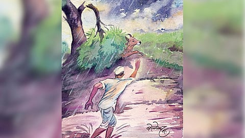 Village Story