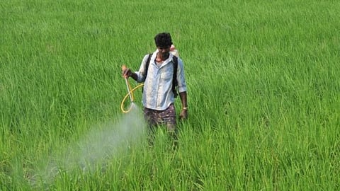 Maharashtra Agriculture Scam