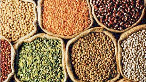 Oilseed, Pulses Production