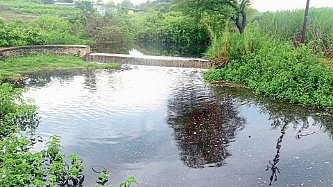 Water Management