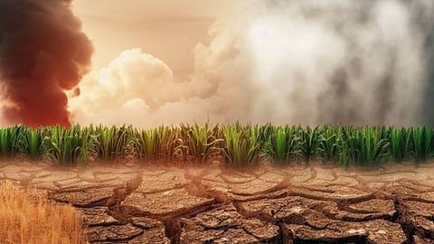 Climate Change