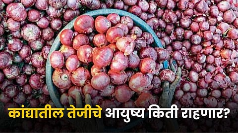 Onion