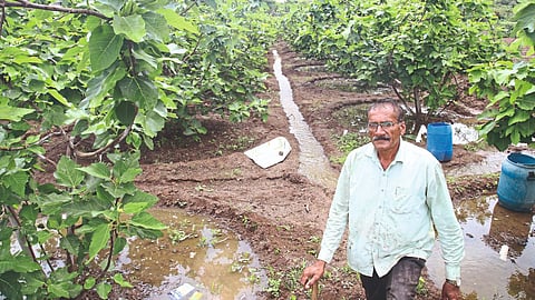 Water Conservation