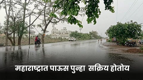 Rain Forecast