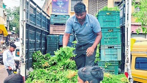 Vegetable Market