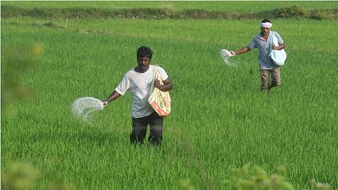 Agricultural Schemes