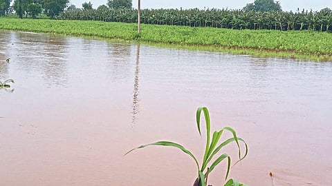 Rain Update