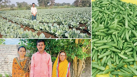 Vegetable Farming