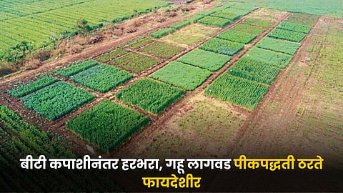 Agriculture