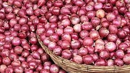 Onion Market