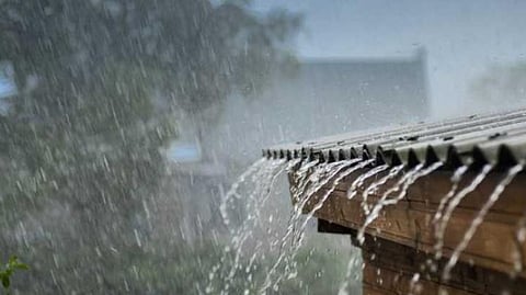 Rain
