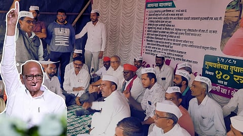 Sharad Pawar on Milk Price