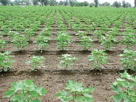 Fertigation Technology