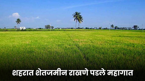Agriculture Land