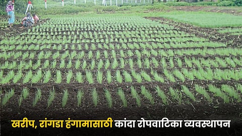 Kharif Farming