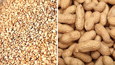 Sesame | Groundnut