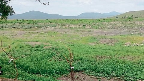 Water Crisis