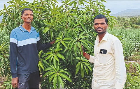 Indian Agriculture