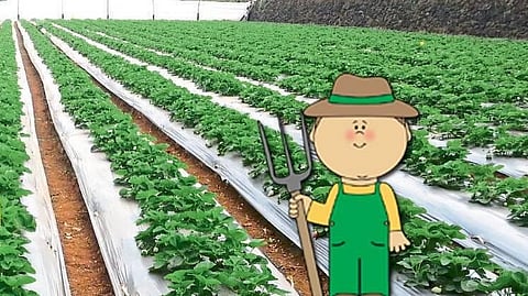 Agriculture Graduation