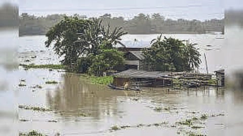 Assam Flood