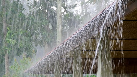 Konkan Rain Update