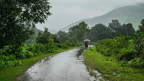 Rain Update