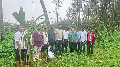 Coconut Cultivation