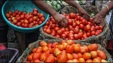 Tomato Rate