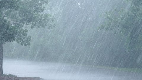 Rain Update