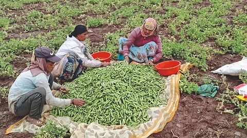 Matar Production