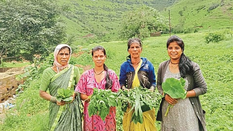 Wild Vegetables
